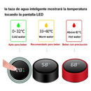 Smart LED Water Bottle with Touch Screen Temperature Display