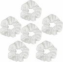 Axooms 6-Piece Satin Silk Scrunchie Set, Soft Ponytail Holders for Women and Girls, 4.3-Inch Pink Hair Ties