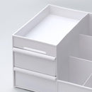 Axooms Plastic Cosmetics & Office Supplies Organizer with Drawers | Makeup Organizer for Women