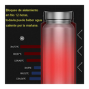 Smart LED Water Bottle with Touch Screen Temperature Display