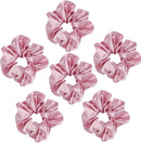 Axooms 6-Piece Satin Silk Scrunchie Set, Soft Ponytail Holders for Women and Girls, 4.3-Inch Pink Hair Ties