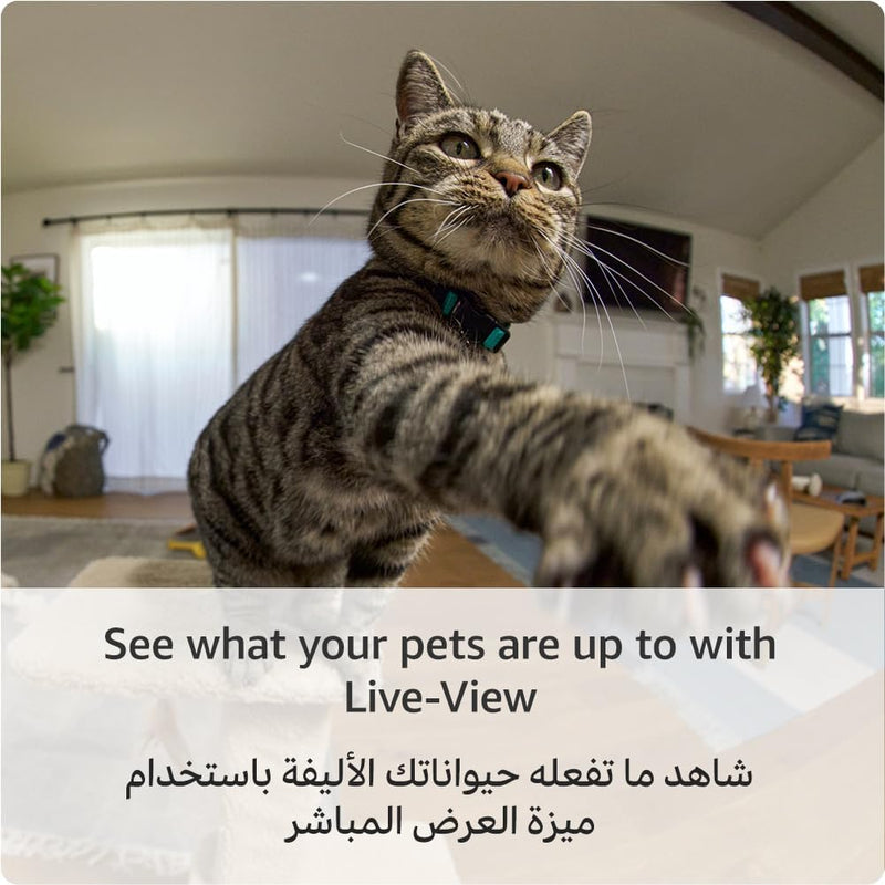 Ring Pan-Tilt Indoor Camera Plug-In Pet Security Camera