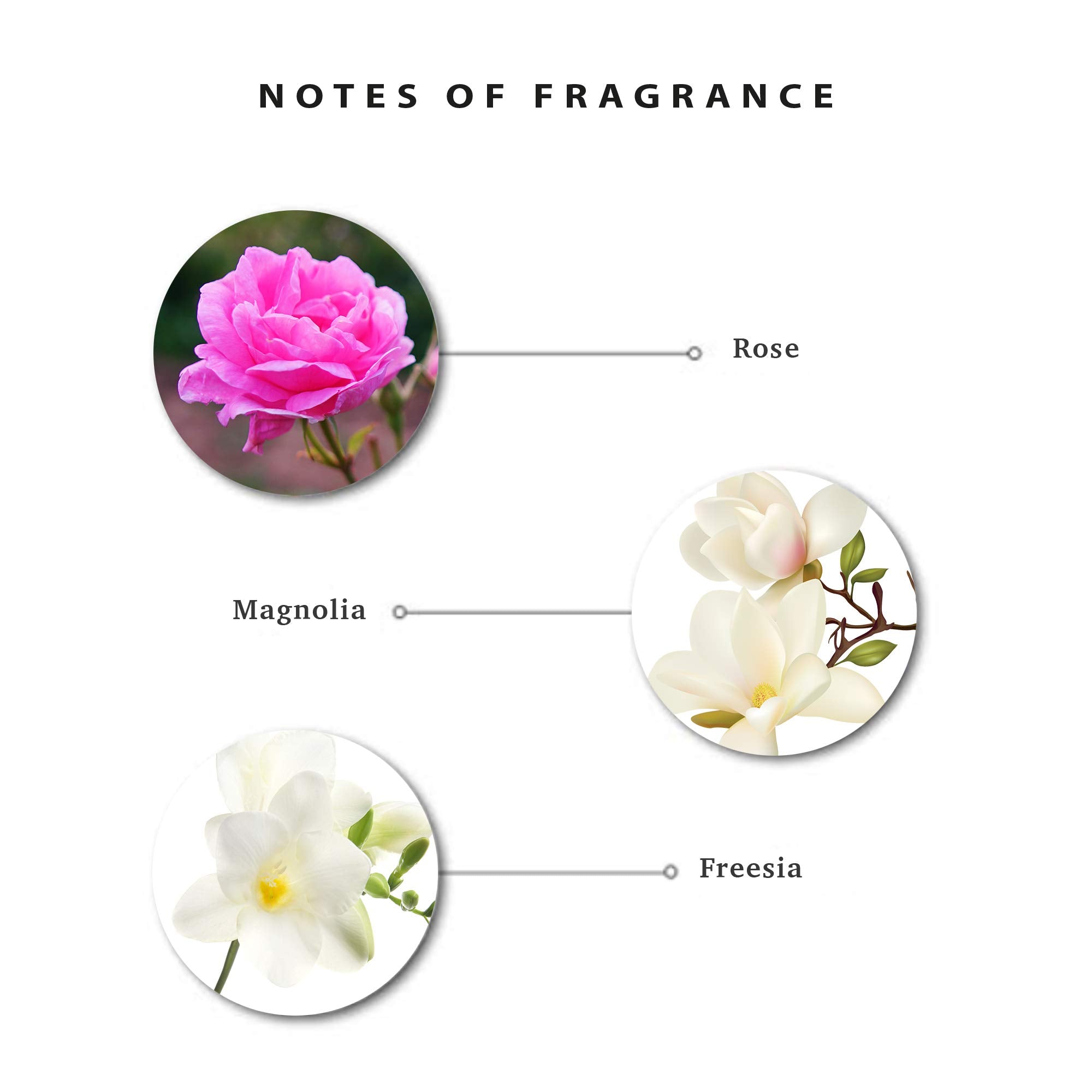 Enticing Eau De Toilette Perfume For Women