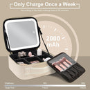 Axooms Travel Makeup Case with LED Mirror, 3 Light Modes, Adjustable Brightness and Removable Dividers