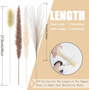 110-Piece Natural Dried Pampas Grass 17.5" - 15 White Pampas, 15 Brown Pampas, 50 Reed Grass & 30 Bunny Tail Grass - Fluffy Dried Flowers for Home Decor & Weddings