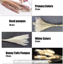 110-Piece Natural Dried Pampas Grass 17.5" - 15 White Pampas, 15 Brown Pampas, 50 Reed Grass & 30 Bunny Tail Grass - Fluffy Dried Flowers for Home Decor & Weddings