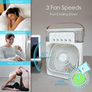 Axooms 4000mAh Double-Ended Spray Fan, Cool Air, 3 New Speeds 2025, USB-C Rechargeable with LED Light Cooler, Touch & Remote Control, 280ml Water Tank, Ice Fill (White)
