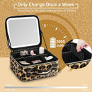Axooms Travel Makeup Case with LED Mirror, 3 Light Modes, Adjustable Brightness and Removable Dividers