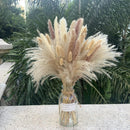 110-Piece Natural Dried Pampas Grass 17.5" - 15 White Pampas, 15 Brown Pampas, 50 Reed Grass & 30 Bunny Tail Grass - Fluffy Dried Flowers for Home Decor & Weddings