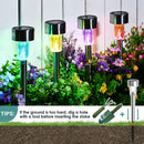 Axooms Solar LED Path Lights - Outdoor Garden Walkway Lawn & Patio Stainless Steel Lights, 12-Pack | Warm White & White LED, Classic Style for Yard, Garden & Patio Decor